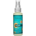 SALOOS Deodorante per ambienti Eucalipto 1×50 ml aroma Eucalipto Spray per l'aria