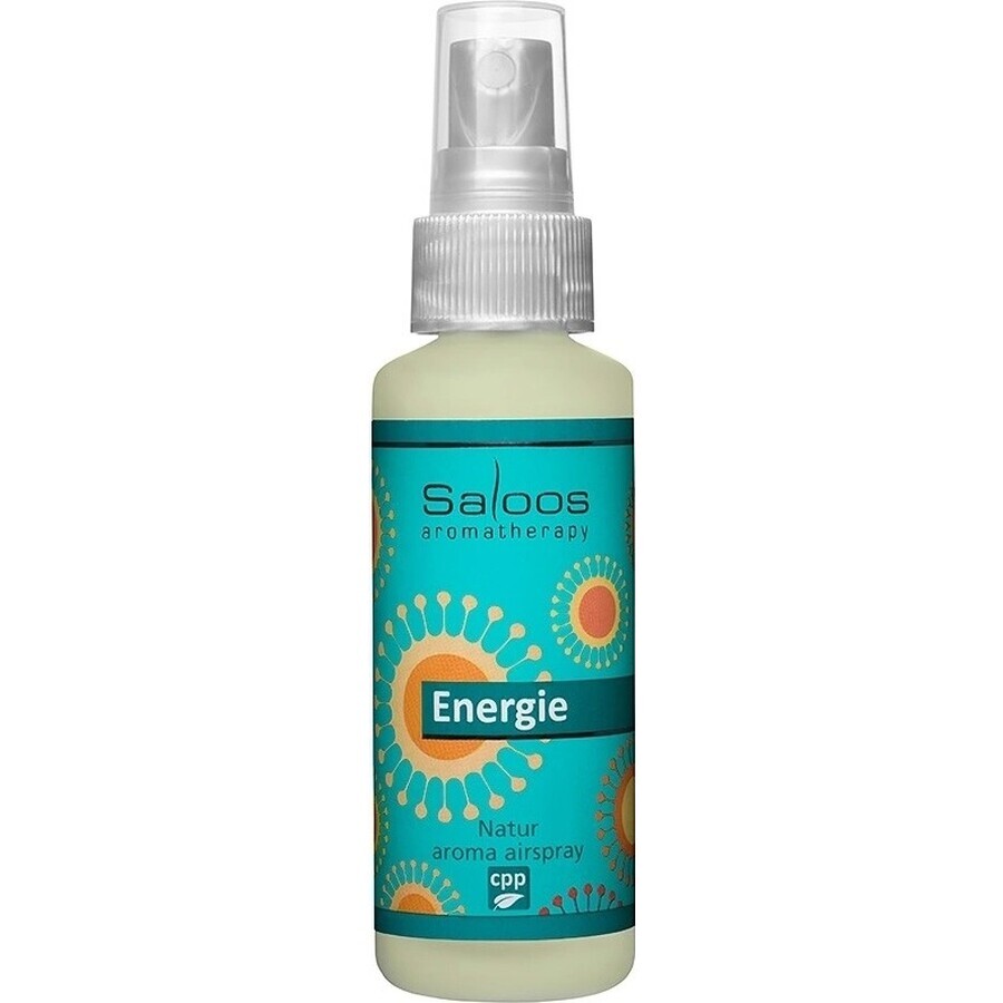 SALOOS Deodorante per ambienti Eucalipto 1×50 ml aroma Eucalipto Spray per l'aria