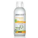 Aloe Vera pur dublu concentrat + tonice energizante, 1L, Zuccari