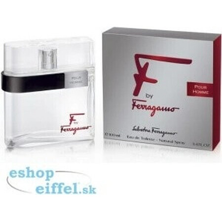 Salvatore Ferragamo F Pour Homme Edt 100ml 1×100 ml, Eau de Toilette