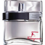 Salvatore Ferragamo F Pour Homme Edt 100ml 1×100 ml, Eau de Toilette