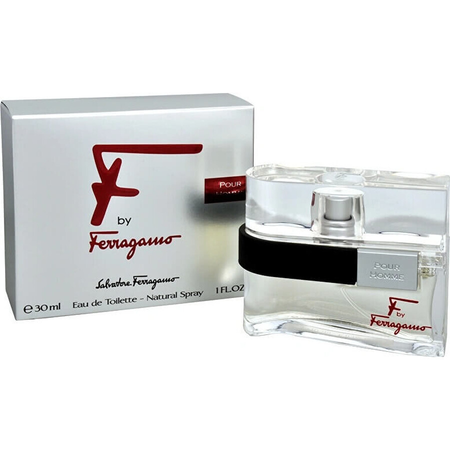 Salvatore Ferragamo F Pour Homme Edt 100ml 1×100 ml, Eau de Toilette