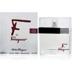 Salvatore Ferragamo F Pour Homme Edt 100ml 1×100 ml, Eau de Toilette