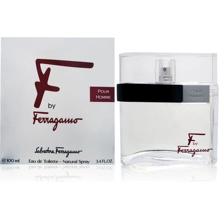 Salvatore Ferragamo F Pour Homme Edt 100ml 1×100 ml, Eau de Toilette