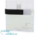 Salvatore Ferragamo F Pour Homme Edt 100ml 1×100 ml, Eau de Toilette