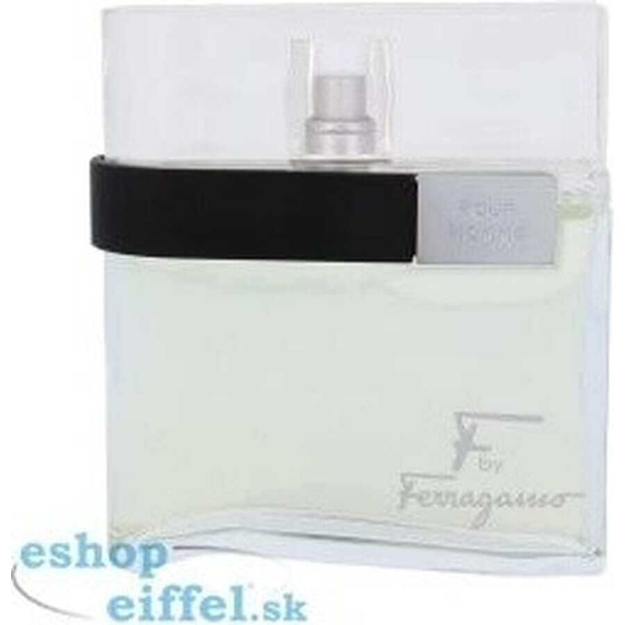 Salvatore Ferragamo F Pour Homme Edt 100ml 1×100 ml, Eau de Toilette