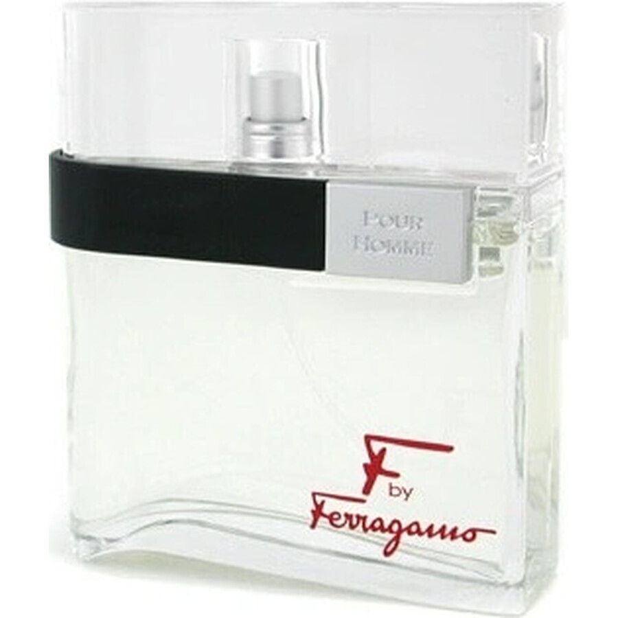 Salvatore Ferragamo F Pour Homme Edt 100ml 1×100 ml, Eau de Toilette