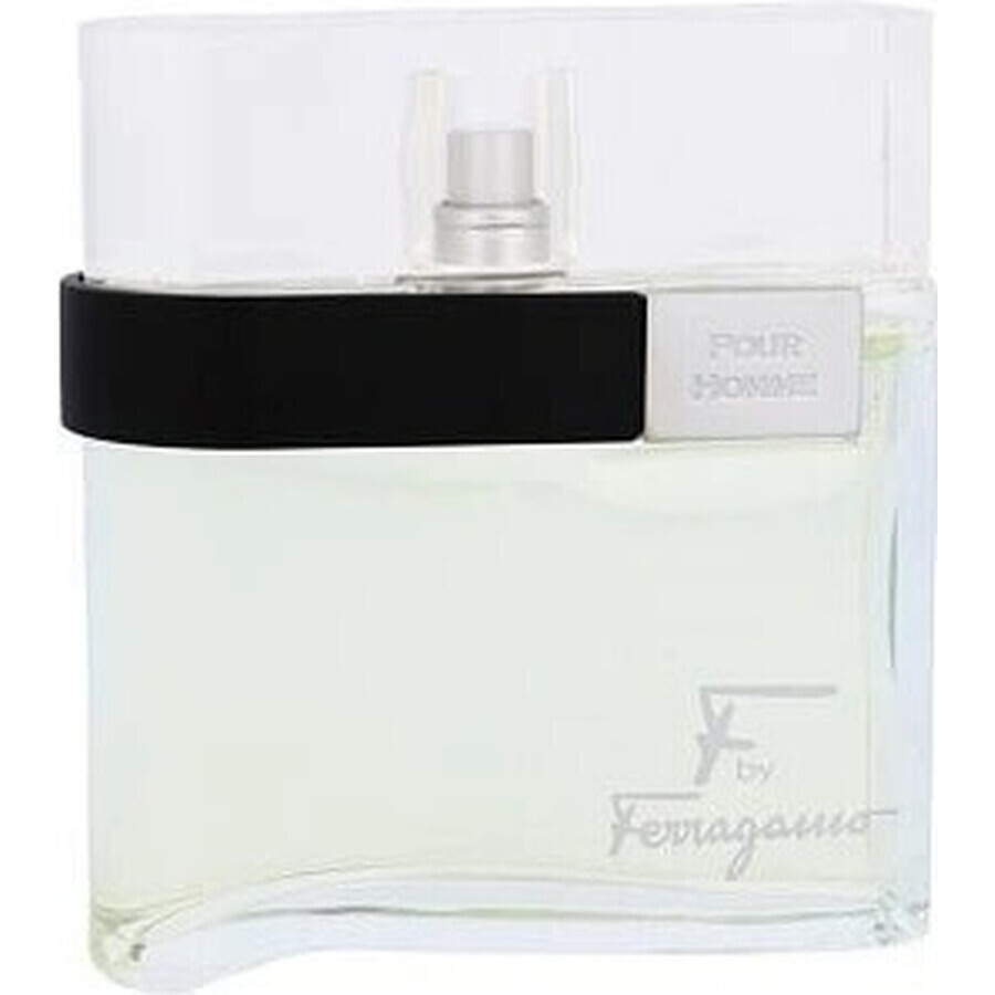 Salvatore Ferragamo F Pour Homme Edt 100ml 1×100 ml, Eau de Toilette