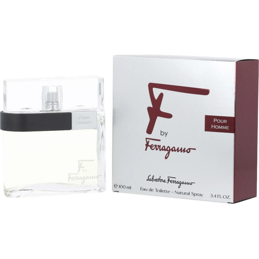 Salvatore Ferragamo F Pour Homme Edt 100ml 1×100 ml, Eau de Toilette