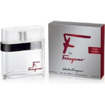 Salvatore Ferragamo F Pour Homme Edt 100ml 1×100 ml, Eau de Toilette