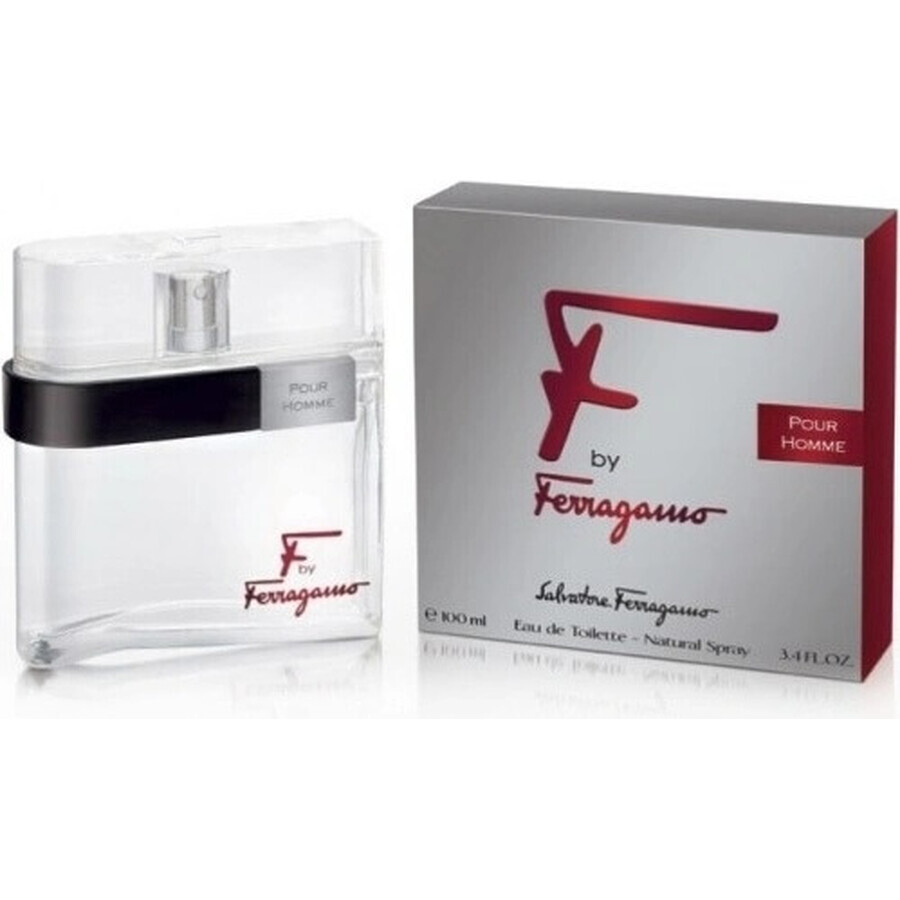 Salvatore Ferragamo F Pour Homme Edt 100ml 1×100 ml, Eau de Toilette