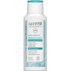 lavera Basis Moisture & Care Conditioner 1×200 ml, conditioner