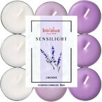 BOLSIUS Sensilight LAVENDER bougies chauffe-plat Sensilight LAVENDER 1×9 pcs, tricolore