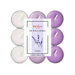 BOLSIUS Sensilight LAVENDER bougies chauffe-plat Sensilight LAVENDER 1×9 pcs, tricolore