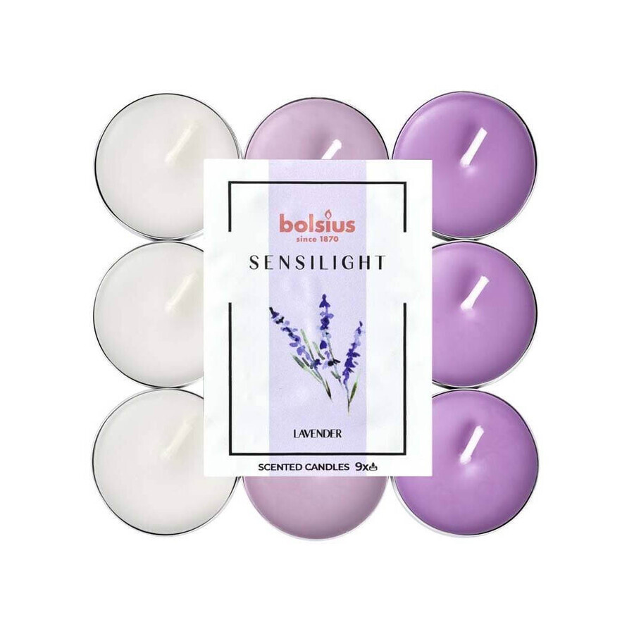 BOLSIUS Sensilight LAVENDER bougies chauffe-plat Sensilight LAVENDER 1×9 pcs, tricolore