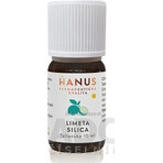 HANUS SILICA LIMET 1×10 ml ätherisches Öl