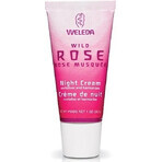 WELEDA Pink smoothing night cream 1×30 ml, night cream