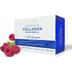 DermoCollagen Marine 3500 mg ProVenus 1×30 pièces, goût framboise