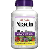 WEBBER NATURALS Niacin B3 500 mg non-allergenic! 1×90 cps, food supplement