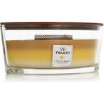 WoodWick Boat Evergreen Bougie Cashmere Evergreen 1×453,6 g, bougie parfumée