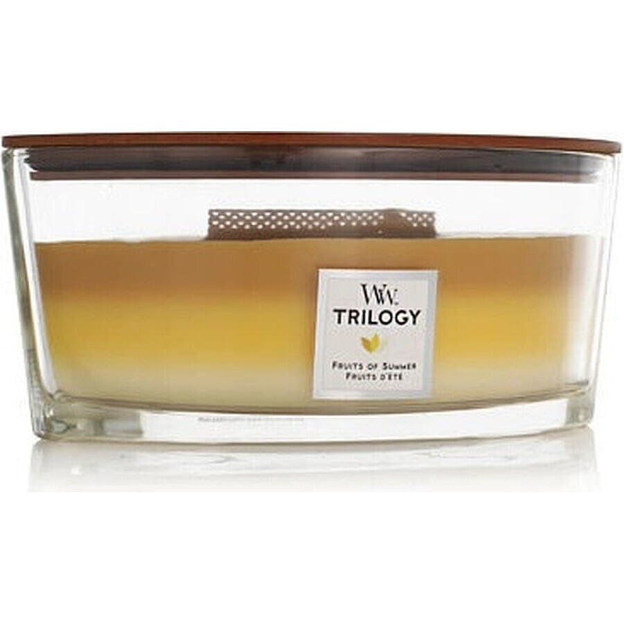 WoodWick Boat Evergreen Bougie Cashmere Evergreen 1×453,6 g, bougie parfumée