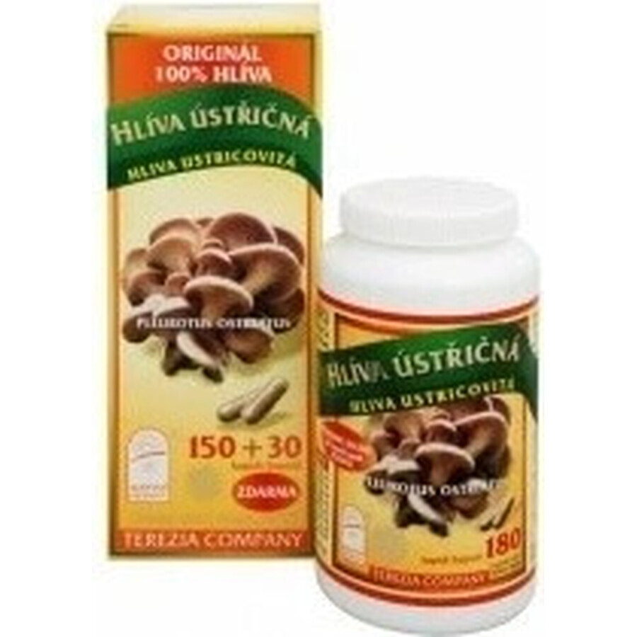 TEREZIA MUSHROOM FUNGUS 1×180 cps, voedingssupplement