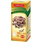 TEREZIA MUSHROOM FUNGUS 1×180 cps, voedingssupplement