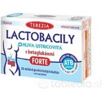 TEREZIA LACTOBACILY + USTRICOUS FUNGUS 1x10 cps, mit Beta-Glucanen FORTE