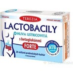 TEREZIA LACTOBACILY + USTRICOUS FUNGUS 1x10 cps, mit Beta-Glucanen FORTE