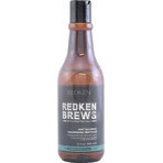 Redken Men's Invigorating Mint Hair Champú Brebajes 1×300 ml, champú