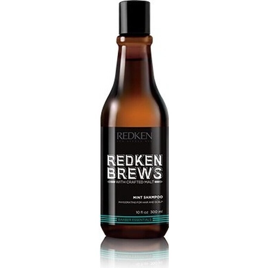 Redken Men's Invigorating Mint Hair Champú Brebajes 1×300 ml, champú