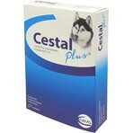 Cestal Plus chewable tablets for dogs 1×8 tbl, flavored parasite tablets for dogs