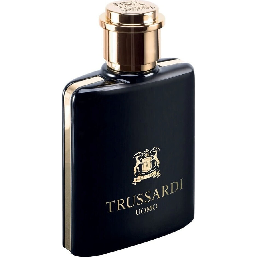 Trussardi Uomo 2011 Edt 100ml 1×100 ml, Eau de toilette