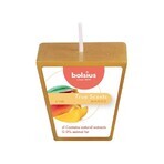 Bolsius Aromatic 2.0 Votive Mango, Duftkerze 1×1 Stück, Größe 48 mm