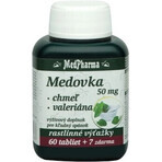 MedPharma MEDOVKA 50MG + Honig + VALERIAN 1×67 tbl, MEDOVKA + Honig + VALERIAN