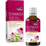 NaturProdukt ECHINACEA 1×50 ml, picături