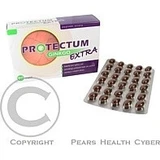 PROTECTUM GINKGO EXTRA 1×90 caps, ginkgo