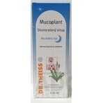 Mucoplant Wegerichlösung Gute Nacht Wegerichlösung 1×100 ml