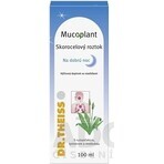 Mucoplant Wegerichlösung Gute Nacht Wegerichlösung 1×100 ml