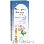 Mucoplant Wegerichlösung Gute Nacht Wegerichlösung 1×100 ml