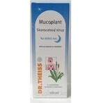 Mucoplant Wegerichlösung Gute Nacht Wegerichlösung 1×100 ml