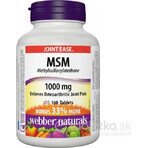 WEBBER NATURALS MSM 1000 mg BONUS 1×160 tbl, Nahrungsergänzungsmittel