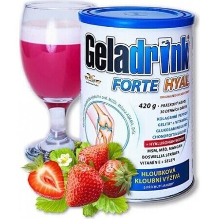 GELADRINK FORTE HYAL 420G ERDBEEREN 1×