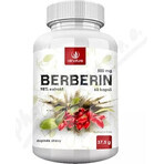 Allnature BERBERINE extract 98% 500 mg 1×60 cps, food supplement