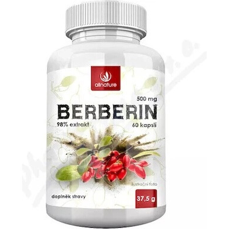 Allnature BERBERINE extract 98% 500 mg 1×60 cps, food supplement