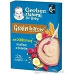 Gerber Natural Milk Porridge Wheat-Oat 1×220 g, framboise et banane (à partir de 6 mois)