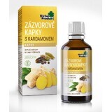 Naturprodukt Ingwer-Tropfen mit Kardamom 1×50 ml, Tropfen