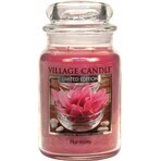 Vela perfumada Village Candle en vidrio - Harmony - Harmony, grande 1×1 ud.