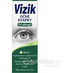 VIZIK OPH GTT PER ALLERGIE 1×10ml, collirio per allergie