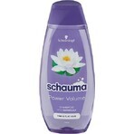 Schauma Șampon Power Volume 48H 1×400 ml, șampon